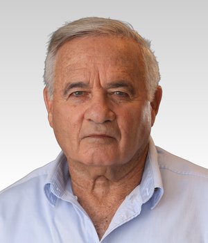אילן שדה