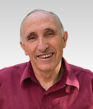 חנן גינת